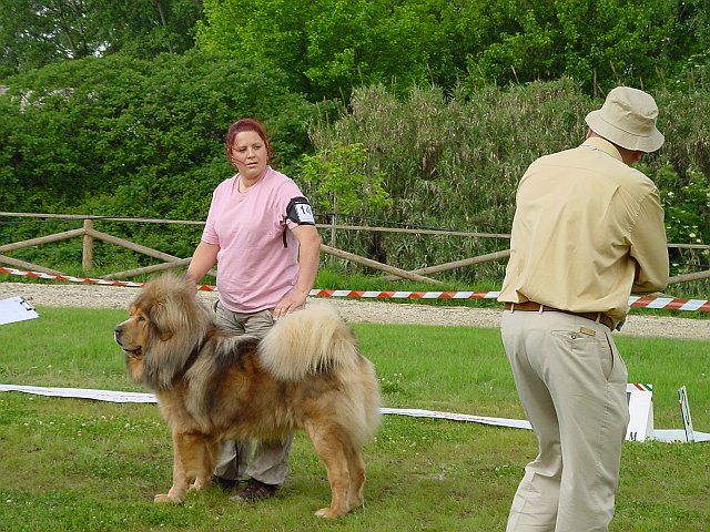 Immagine 032.jpg